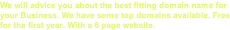 We will advice you about the best fitting domain name for  your Business. We have some top domains available. Free for the first year. With a 6 page website.