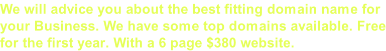 We will advice you about the best fitting domain name for  your Business. We have some top domains available. Free for the first year. With a 6 page $380 website.