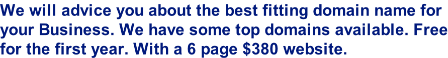 We will advice you about the best fitting domain name for  your Business. We have some top domains available. Free for the first year. With a 6 page $380 website.